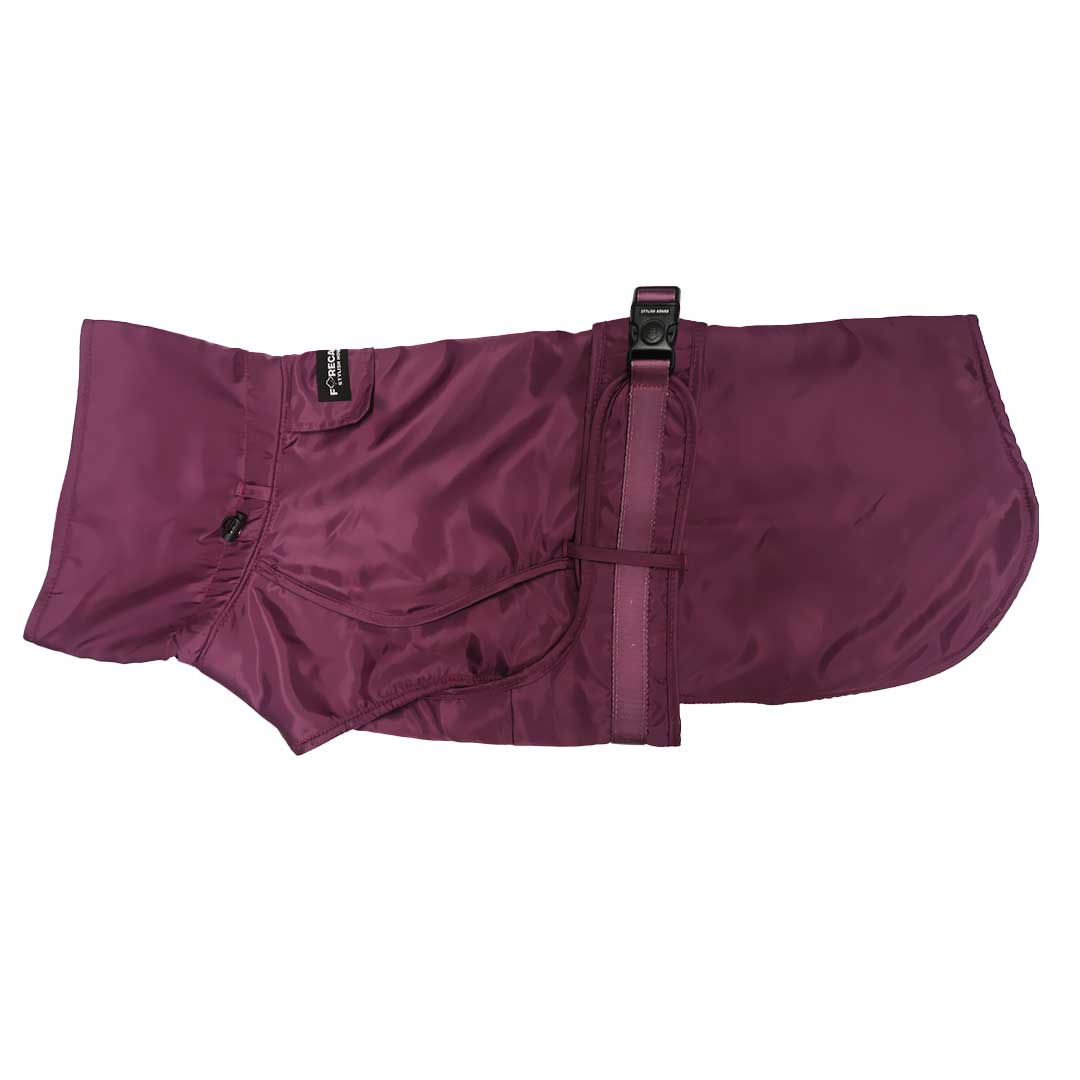 Mulberry Trench Coat