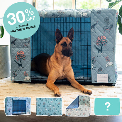 Outlet Crate Bundle - Safari