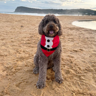 Santa Bandana