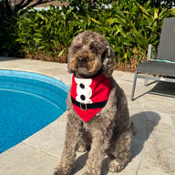 Santa Bandana