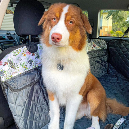 Back Seat Cover with Travel Bag