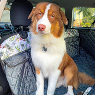 Evergreen Back Seat Cover w Travel Bag