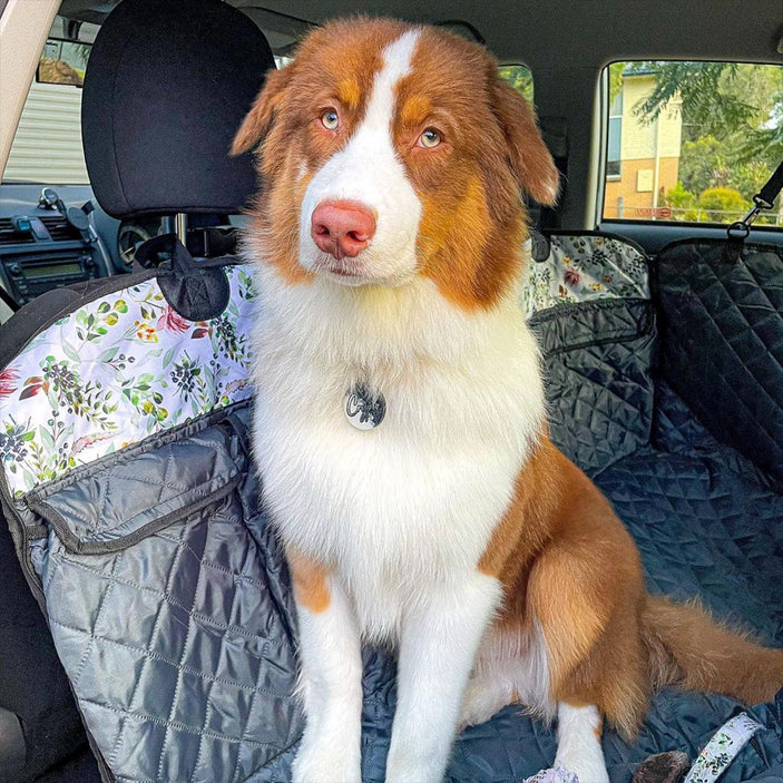 Evergreen Back Seat Cover w Travel Bag