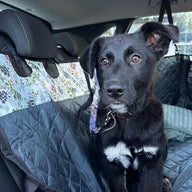 Evergreen Back Seat Cover w Travel Bag