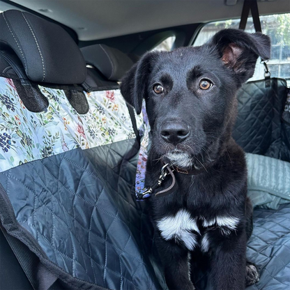 Back Seat Cover with Travel Bag