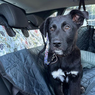 Evergreen Back Seat Cover w Travel Bag
