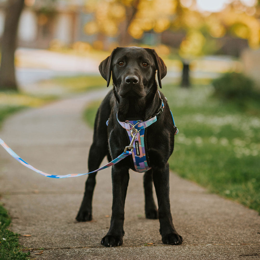 Chrome Explorer Chest Plate - Chrome