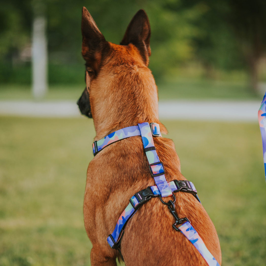Luna Explorer Chest Plate - Luna