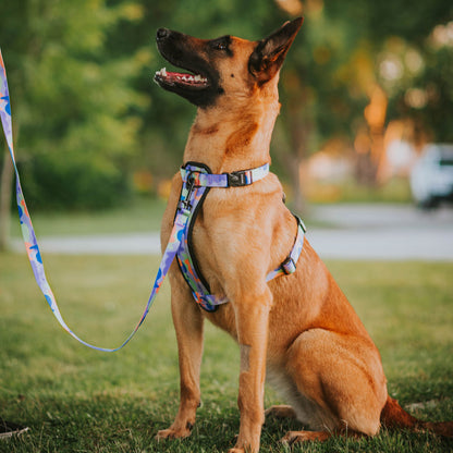Luna Explorer Chest Plate - Luna