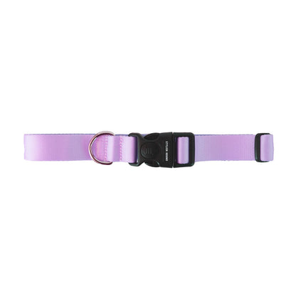Sorbet Collar - Sorbet