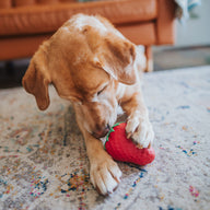 Strawberry Dispenser Toy