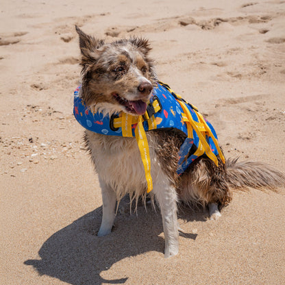 Rockpool Swim Jacket - Rockpool