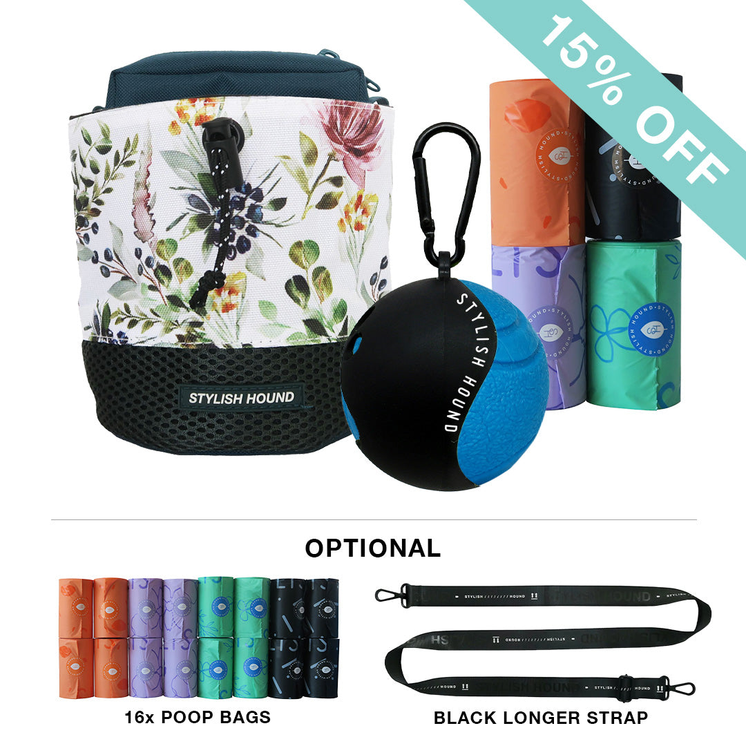 Train n' Treat Kit - Evergreen