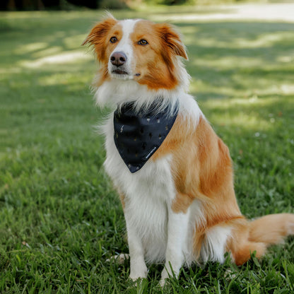 Blackout Bandana - Blackout