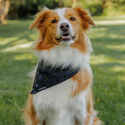 Blackout Bandana - Blackout