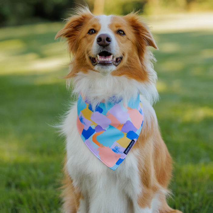 Chrome Bandana