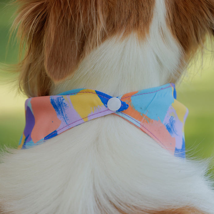 Chrome Bandana