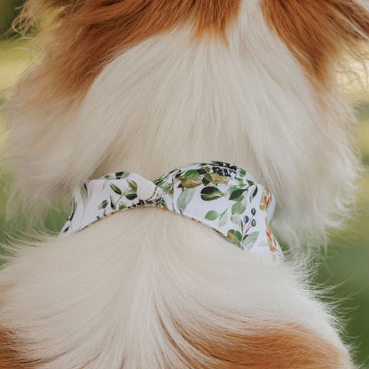 Evergreen Bandana - Evergreen