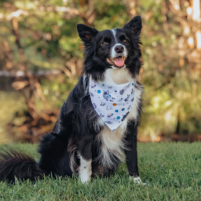 Ground Control Bandana