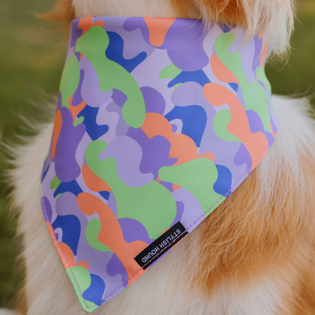 Bandana - SALE