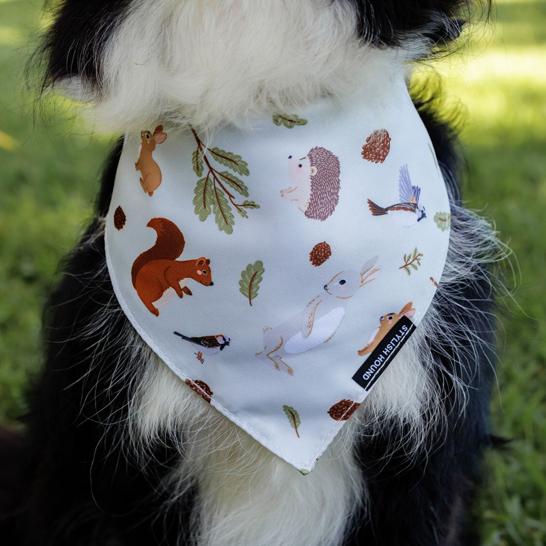 Wild Grove Bandana - Wild Grove