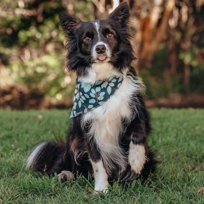 Woodland Bandana