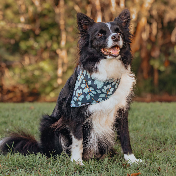 Woodland Bandana