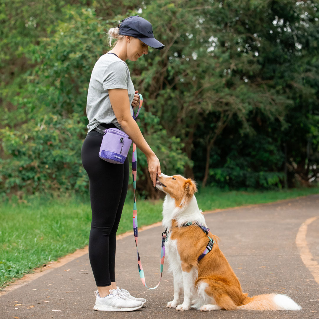 Train n' Treat Pouch