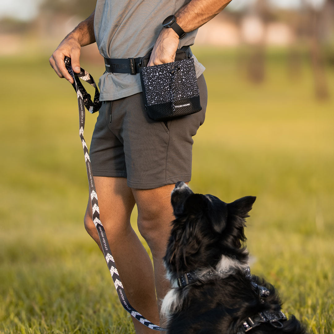 Train n' Treat Pouch