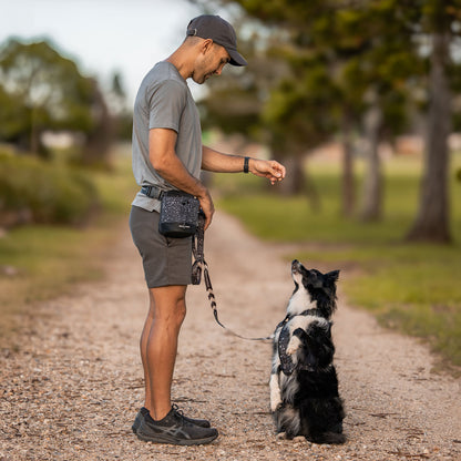 Train n' Treat Pouch