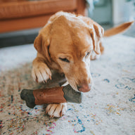 Tree Branch Extreme Power Chew