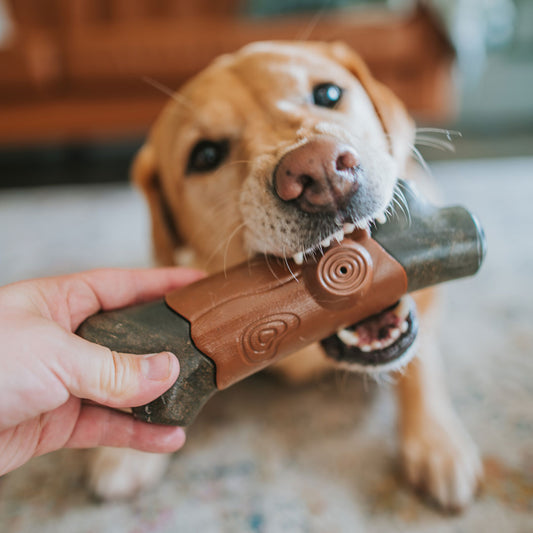 Tough Chewers Bundle