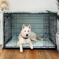 Sage Basic Cover - Sage