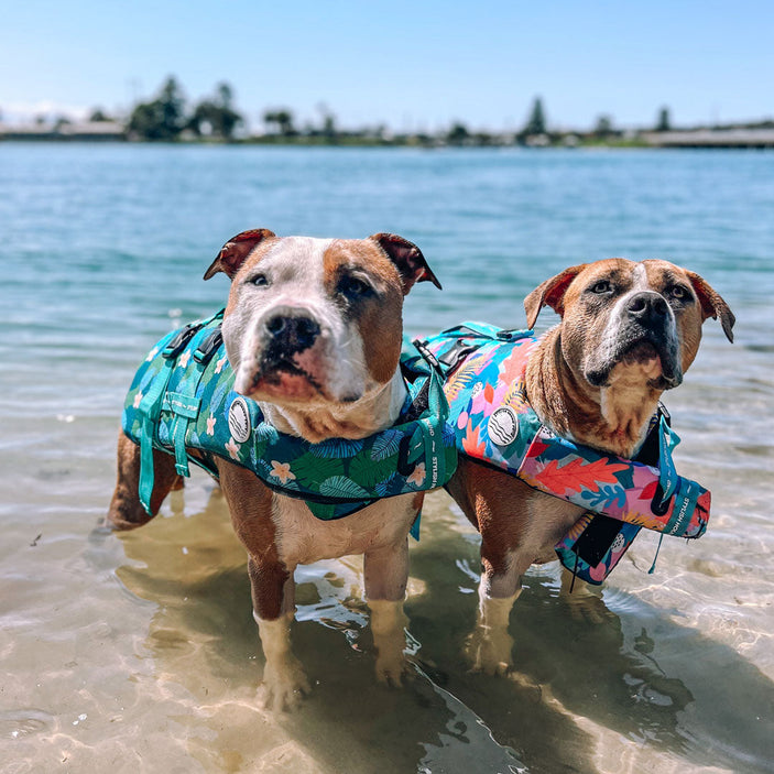 Verano Dog Swim Jacket