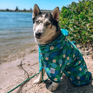 Verano Dog Robe