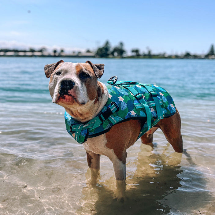 Verano Dog Swim Jacket