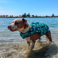 Verano Dog Swim Jacket