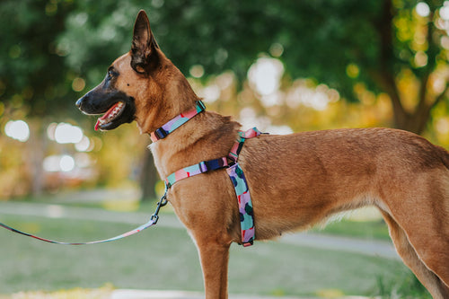 Stylish Hound | SALE up to 75%OFF