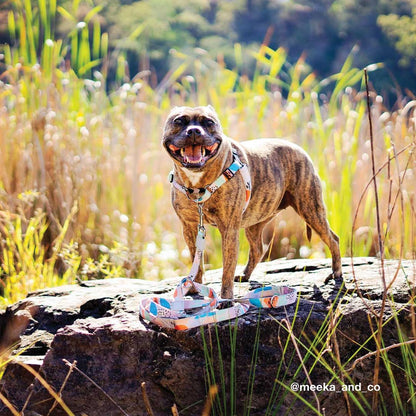 Newtown Multi-Function Leash - Newtown