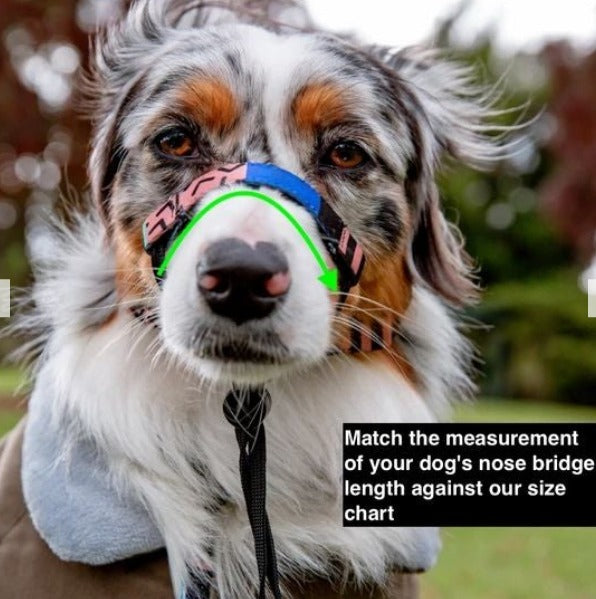 Milano Halter - Milano