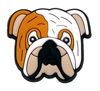 Free Jibbitz with Order