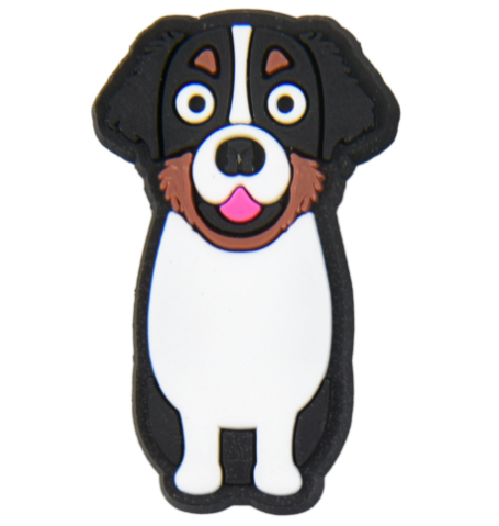 Free Jibbitz with Order