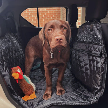 Back Seat Cover with Travel Bag