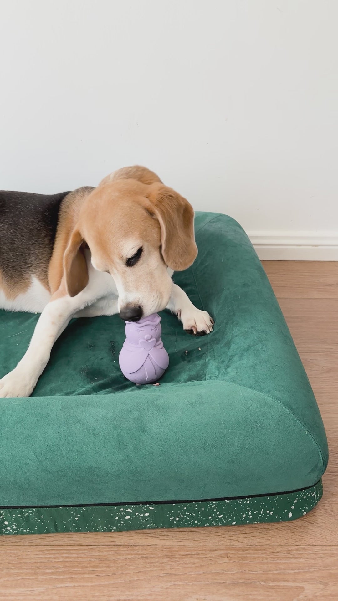 Strawberry Dispenser Toy | Afterpay | Stylish Hound