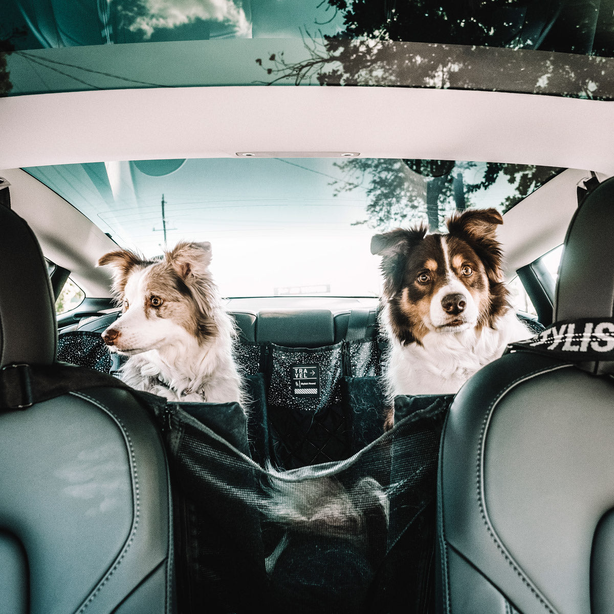Back Seat Cover with Travel Bag