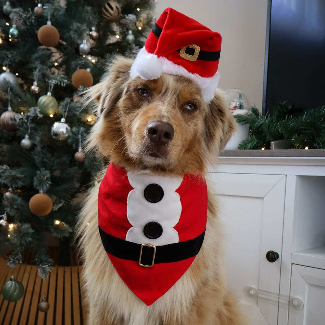 Santa Bandana