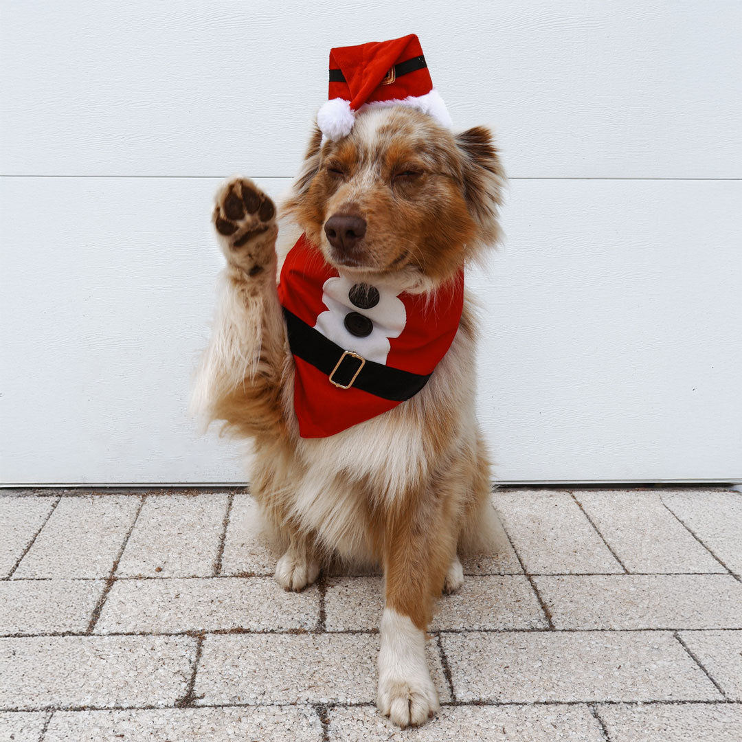 Santa Bandana