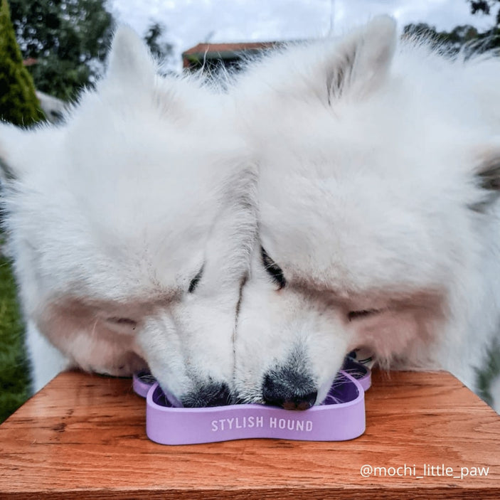 Lilac 2in1 Lick Bowl Slow Feeder