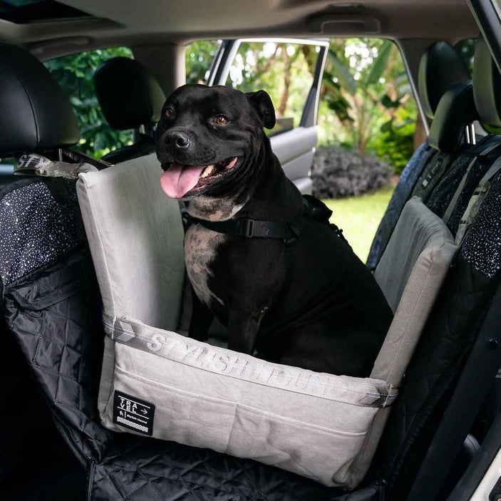 Jackson Back Seat Cover w Travel Bag