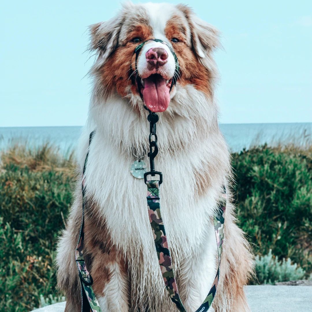 On Duty Halter - On Duty